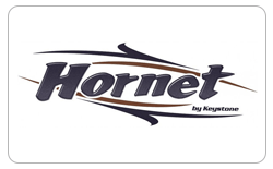 Hornet logo