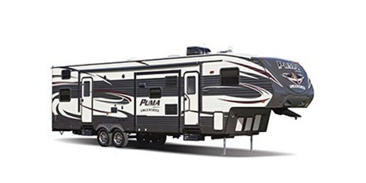 Palomino Puma Unleashed 351-thss